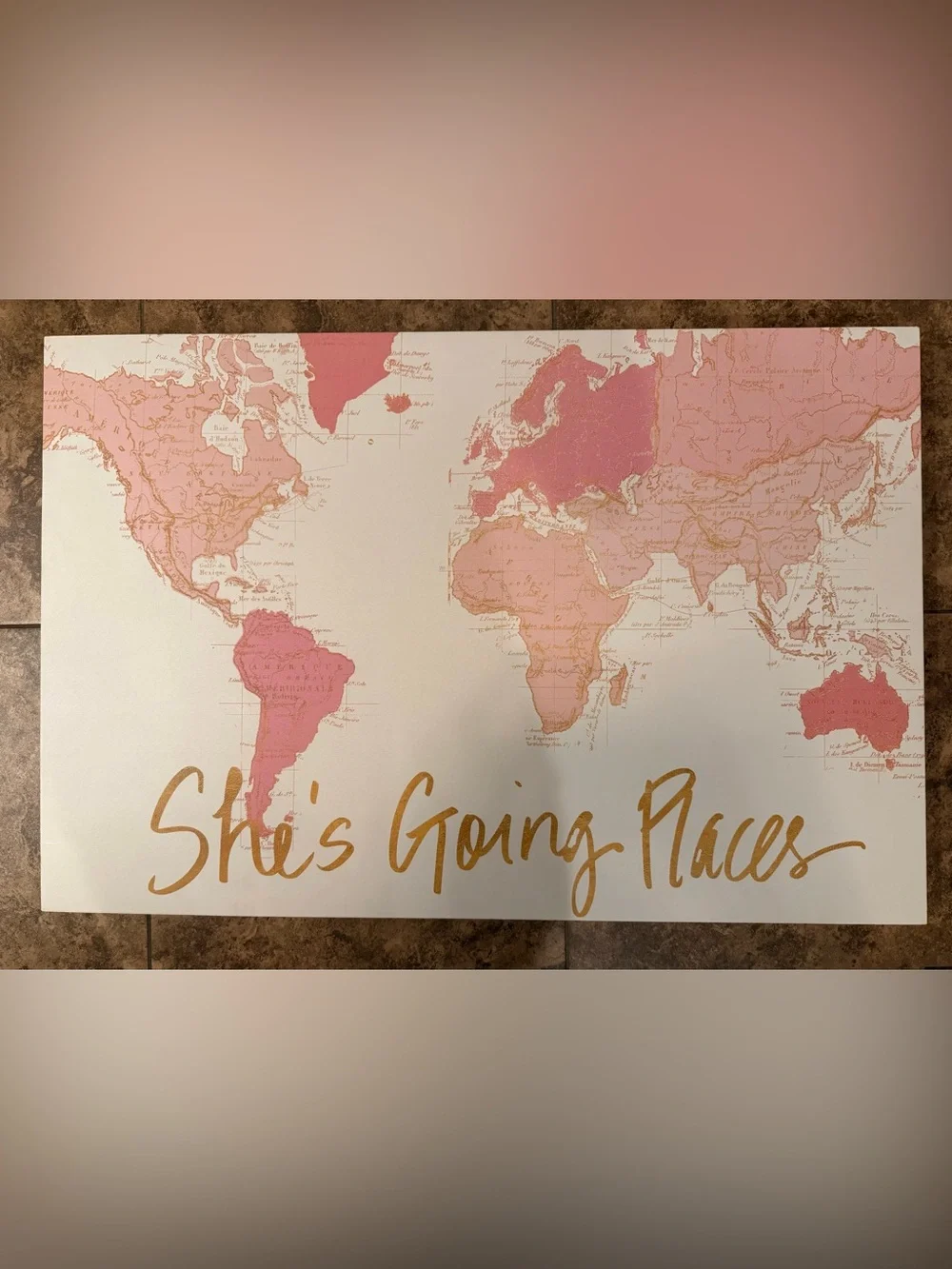 Pink and Gold World Map Wall Art